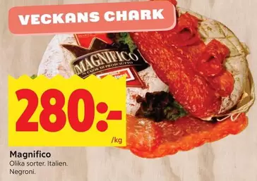 Magnifico
