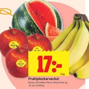 Fruktplockarvecka!
