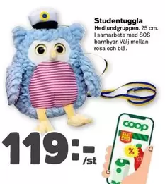 Coop - Studentugglan Hedlundgruppen