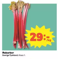 Rababer
