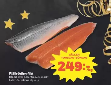Fjällrödingfilé