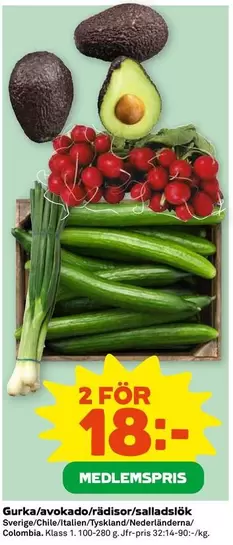 Gurka/avokado/rädisor/salladslök