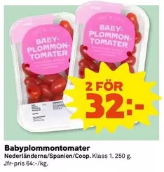 Babyplommontomater