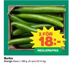 Gurka