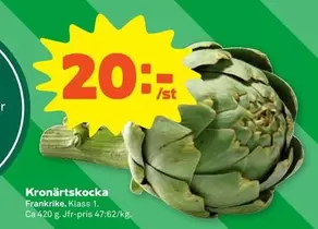 Kronärtscocka