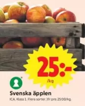 Svenska äpplen