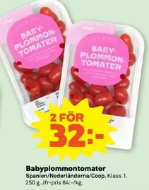Babyplommontomater
