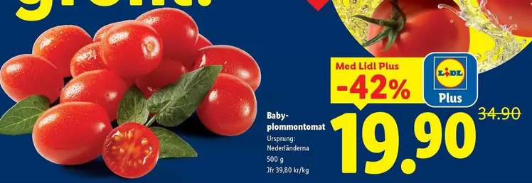 Baby-plommontomat