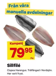 Sillfilé