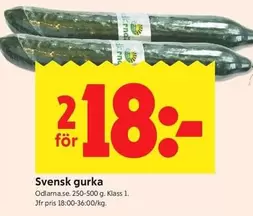 Svensk gurka