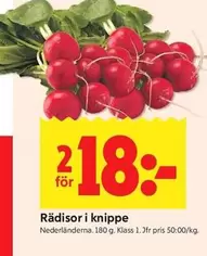 Rädisor i knippe