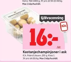 Heinz - Kastanjechampinjoner