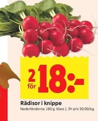 Rädisor