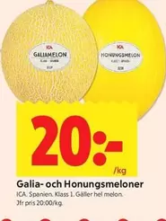 Galia- och Honungsmeloner