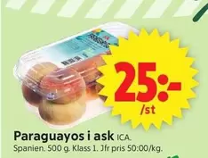 Paraguayos