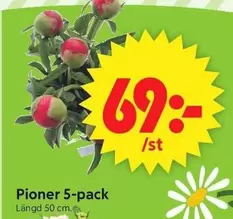 Pioner 5-pack
