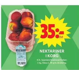 NEKTARINER I KORG