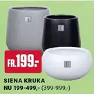 SIENA KRUKA