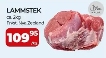 LAMMSTEK