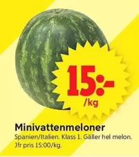 Minivattenmeloner