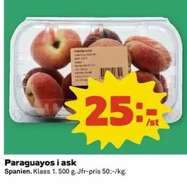 Paraguayos