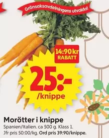 Morötter i knippe