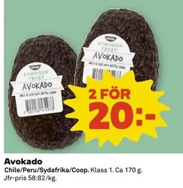 Avokado