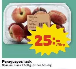 Paraguayos