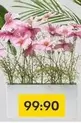 Artificial Flowers