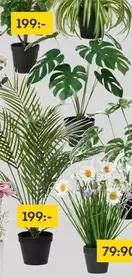 Artificial plants