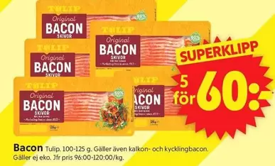 tulip - Bacon