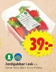 Jordgubbar