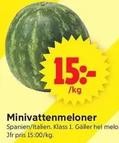 Minivattenmeloner