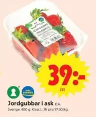 Jordgubbar