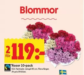 fairtrade - Rosor 10-pack