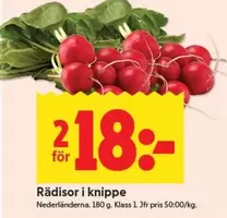 Rädisor i knippe