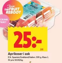 Aprikoser