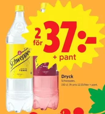 Schweppes - Tonic