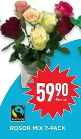 fairtrade - ROSOR MIX 7-PACK