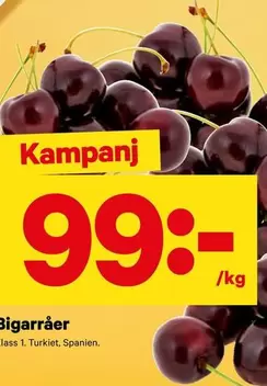 Bigarr
r