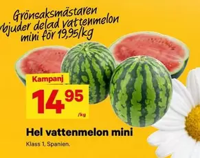 Hel vattenmelon mini