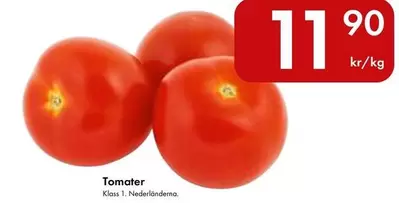 Tomater