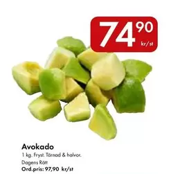 Avokado