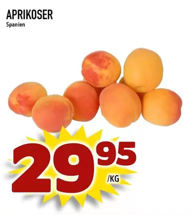 APRIKOSER
