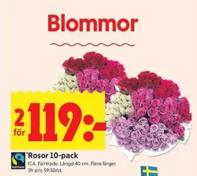 fairtrade - Rosor 10-pack