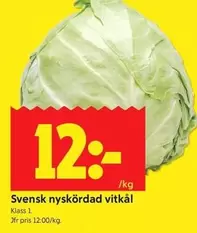 Svensk nysköadad vitkål