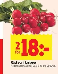 Rädisor i knippe