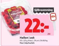 Hallon i ask