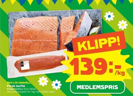 Färsk laxfilé