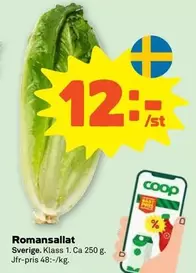 Coop - Romansallat